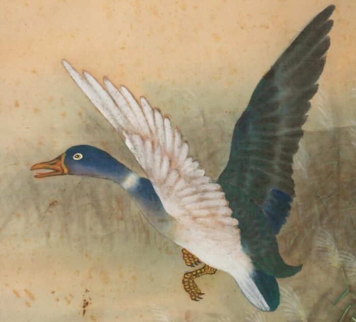 1920s early showa era japanese watercolor painting mallard duck 2793