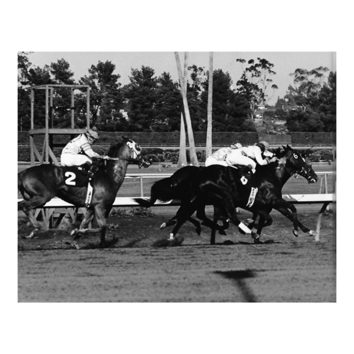 1971 horse racing equestrian photograph by don ware 8296