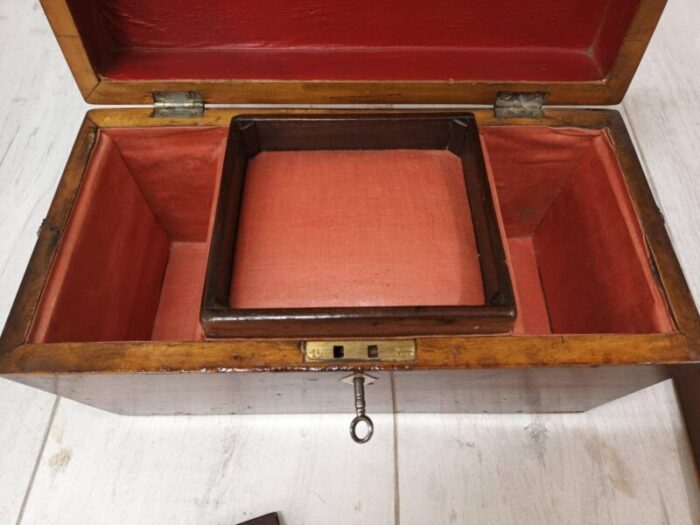 antique regency style tea caddy in oak 11