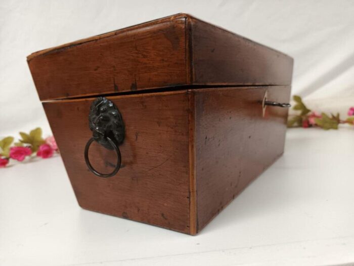 antique regency style tea caddy in oak 3