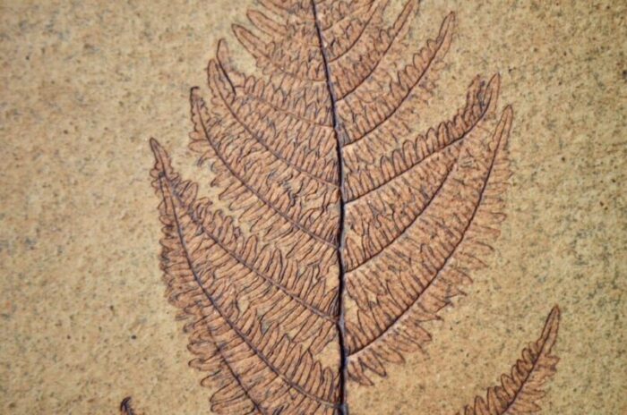 ceramic stamped fern decorative object 2