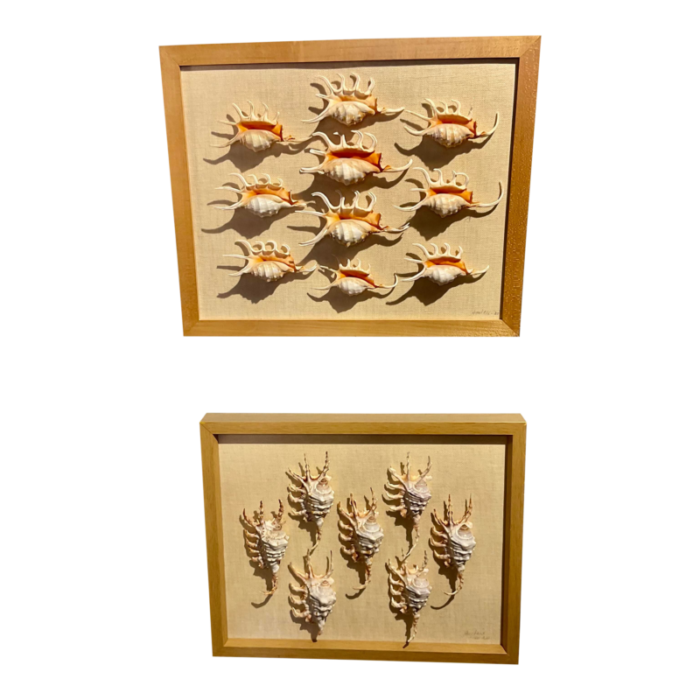 framed shellart studies pair 9174