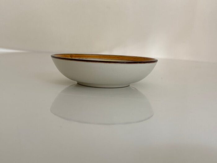 handpainted ceramic bowl 6