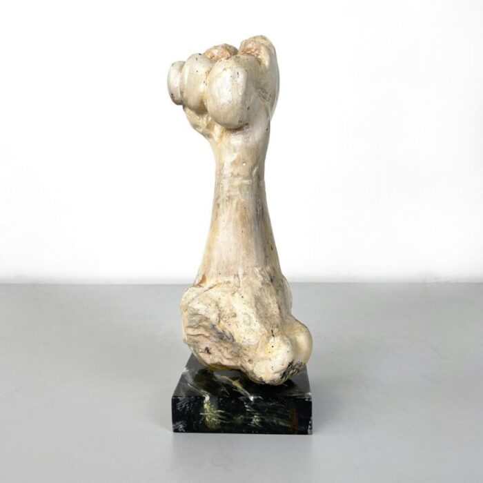 italian modern wooden sculpture of a bone by n f puccio 1990s 2