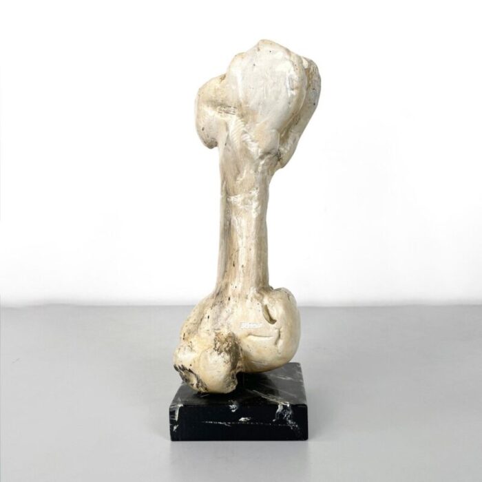 italian modern wooden sculpture of a bone by n f puccio 1990s 3