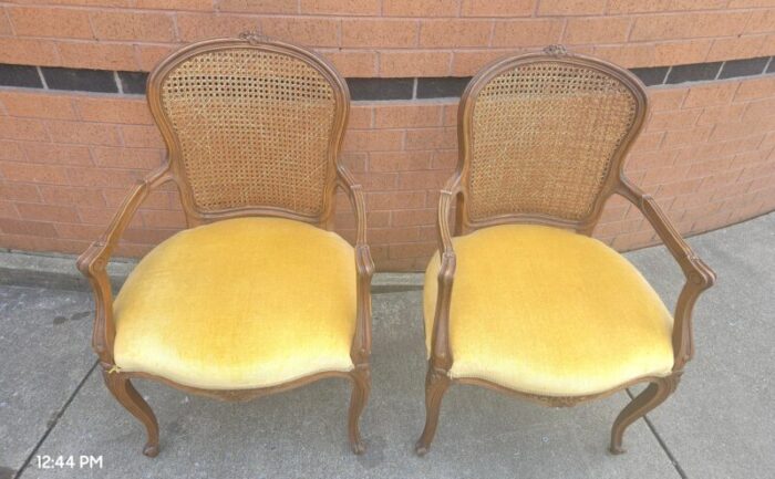 pair provincial style walnut cane back and velvet upholstered seat bergeres chairs 3584