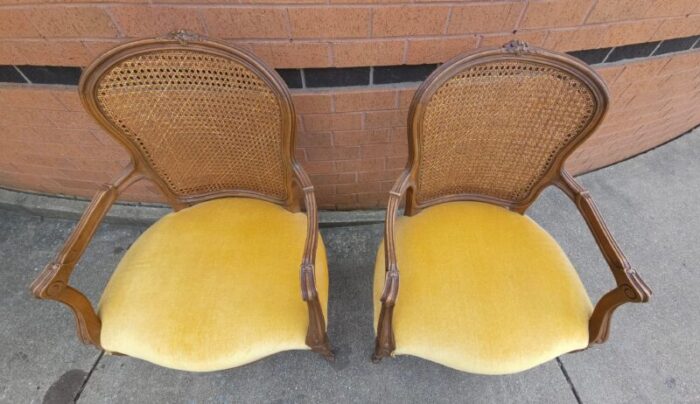 pair provincial style walnut cane back and velvet upholstered seat bergeres chairs 5038