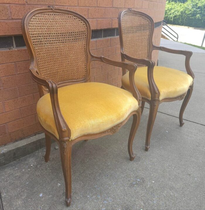 pair provincial style walnut cane back and velvet upholstered seat bergeres chairs 6602