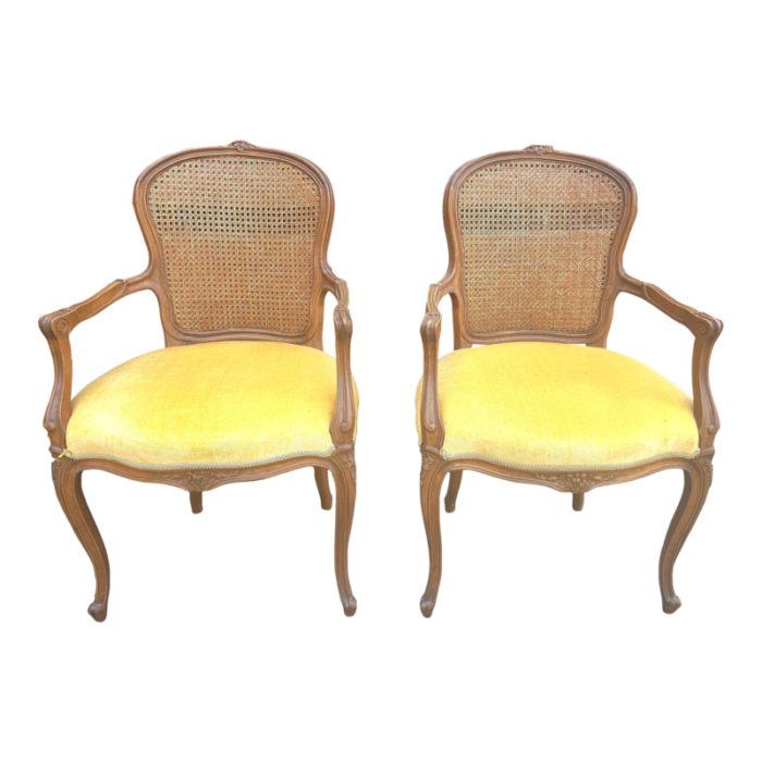 pair provincial style walnut cane back and velvet upholstered seat bergeres chairs 8571