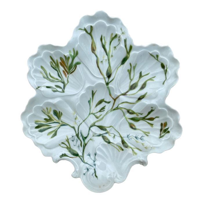 porcelain oyster plate with seaweeds limoges circa 1900 3010