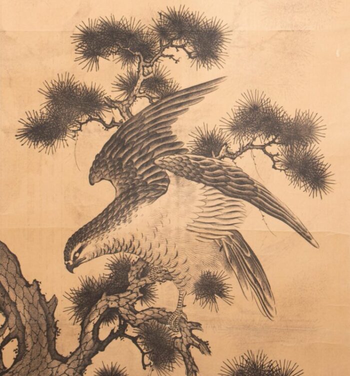 pre 1940 showa era japanese printed scroll pine tree and the hawk 7608