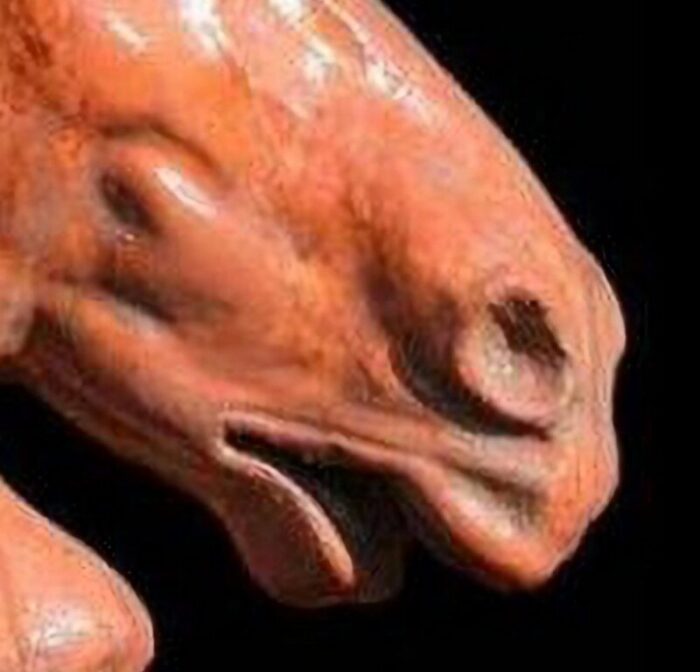 selene s chariot horse head in terracotta late 19th century 5