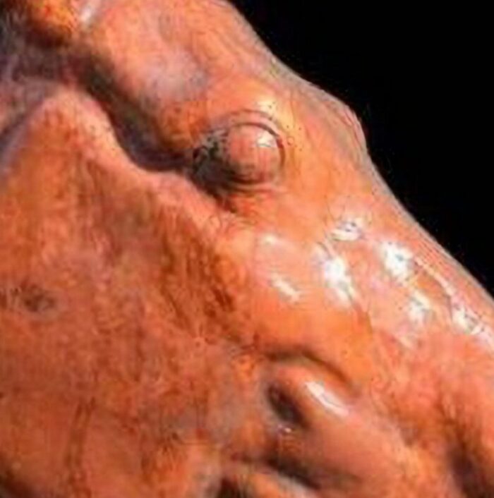 selene s chariot horse head in terracotta late 19th century 6